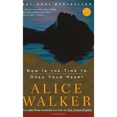 Now Is the Time to Open Your Heart: A Novel