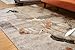 Generations Contemporary Flower Rust Gold Silver White Modern Squares Area Rug Rugs 5'2 x 7'3