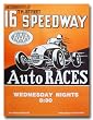 1951 16th Street Speedway Poster Print