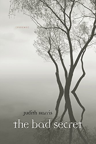 The Bad Secret: Poems