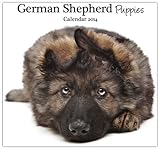 German Shepherd Puppies 2014 Wall Calendar