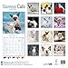 Siamese Cats Calendar - 2016 Wall calendars - Animal Calendar - Monthly Wall Calendar by Avonside Studio
