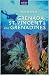 Best Dives of Grenada, St. Vincent & the Grenadines width=