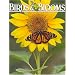 Birds & Blooms