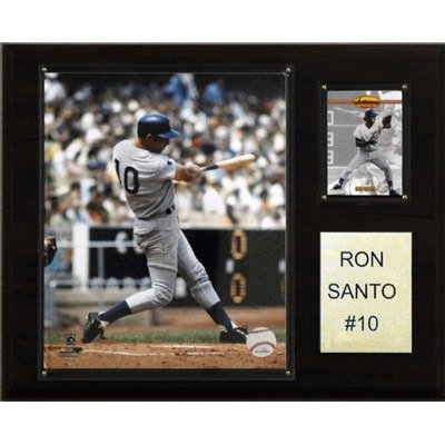 MLB Chicago Cubs Ron Santo Player Plaque