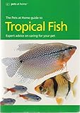 A quick-n-easy guide to keeping tropical fish