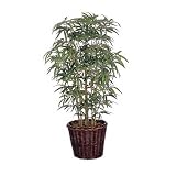 Review i-koncepts Ltd  / 4ft Japanese Bamboo with Natural Stems - Artificial Plant