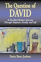 The Question of David: A Disabled Mother's Journey Through Adoption, Family, and Life