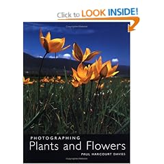 Photographing Plants and Flowers