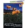 Photographing Plants and Flowers