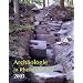 Arch�ologie in Rheinland-Pfalz 2003