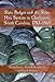 Slave Badges and the Slave-Hire System in Charleston, South Carolina, 1783-1865