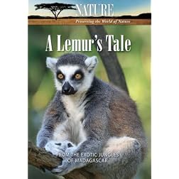 Nature: A Lemur's Tale