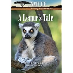 Nature: A Lemur's Tale