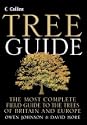 Collins Tree