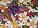 Photo Jigsaw 16x12 (40x30cm) Malaysia. Pangkor Laut Resort by Robert Harding