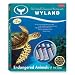 Learn to Draw and Paint with Wyland: A Complete Kit for Beginning Artists