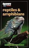 Reptiles & amphibians