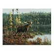 Buffalo Games Hautman Black Bay Moose 1026 Piece Jigsaw Puzzle