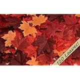 120 Artificial Fall Maple Leaves in a Mixture of Autumn Colors - Great Autumn Table Scatters for Fall Weddings & Autumn Parties