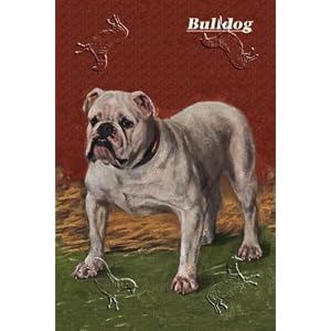 Art Poster, White Bulldog - 18.75 x 27.5