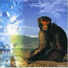 Calming of the Drunken Monkey