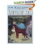 Outlaw Red (Bantam Skylark Book)