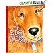 My Big Dog (A Golden Classic)