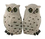Snowy Owl Bookend Set