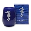 Primal Elements 13 oz Blue Glass Icon Candle