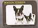 terrier25 - Boston Terrier Mouse Pad and Coasters Set of