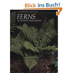 Ferns to Know and Grow