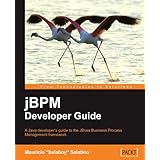 jBPM Developer Guide