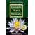 Controlling Herpes Naturally: A Practical Guide to Treatment & Prevention