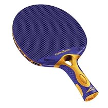 Tacteo Cornilleau Outdoor Table Tennis Bat