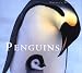 Penguins: Nature's Window