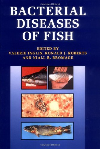 bacterial diseases of fish