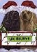 cocker spaniel - Cocker Spaniel Christmas Believe Greeting Cards
