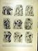 1904 Kickapoo Dance Elks Indian Choreography Print