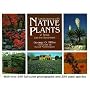 Landscaping with Native Plants of Texas and the Southwest (Natural World)