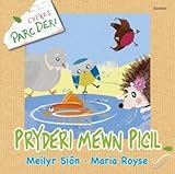 Pryderi mewn picil