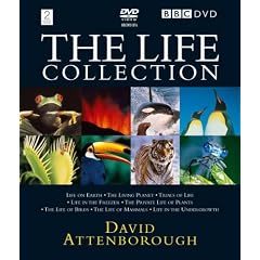 David Attenborough - The Life Collection Box Set [24 DVDs] [UK Import]