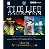 David Attenborough - the Life Collection [24 Disc Box Set] [Import anglais]