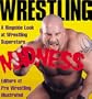 Wrestling Madness: A Ringside Look at Wrestling Superstars