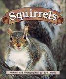 Squirrels: Night Crickets (Storyteller Non-fiction)