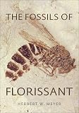 Fossils of Florissant