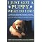 Puppies: All You Need To Know