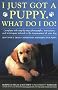 I Just Got a Puppy: What Do i Do?