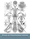 Atlas of crustacean larvae