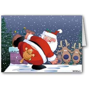 Angry Cat Christmas Card - Funny